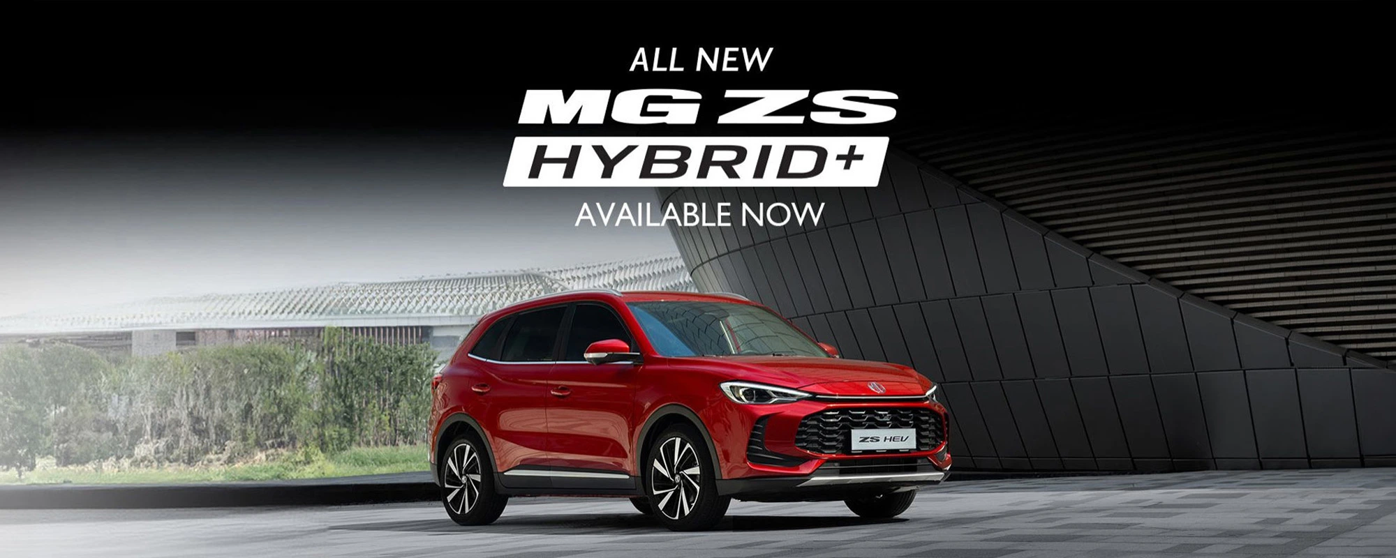 Mgzs Hp